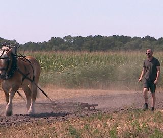 Evolutie van de landbouw was te zien in Steenbergen, met belangrijke boodschap