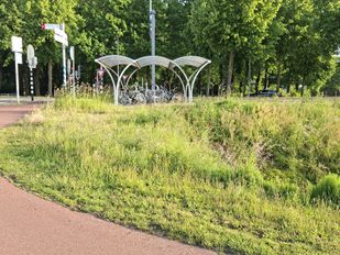 Gemeente in de clinch met aannemer: maaiwerk&shy;zaamheden Etten-Leur lagen tijdelijk stil