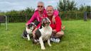 Bulldogs vieren International Dog Day met haring: &#8216;Dit is een vijfsterren B&#038;B&#8217;