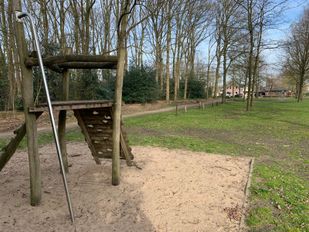 Het Wielewaalbos in Nispen