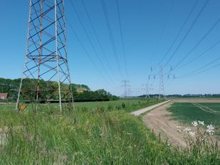 Netbeheerders vragen om keuze voor 380kV station Moerdijk: gemeente niet blij