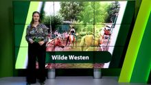 17 augustus – Roosendaal | Bergen op Zoom | Woensdrecht | Tholen | Steenbergen