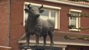 Ossendrecht heeft zijn bronzen os weer terug
