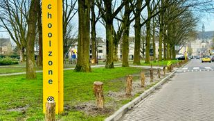 Om de verkeersveiligheid te verbeteren plaatste de gemeente houten paaltjes in het Catharinapark in Wouw. Foto: Eric de Regt.