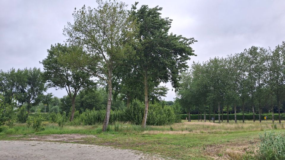 Definitief geen zorgwoningen op locatie voormalige Van Glymes speeltuin in Bergen op Zoom