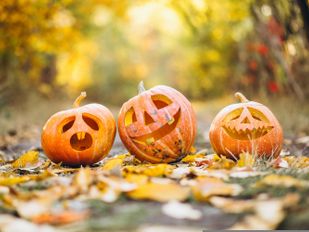 Samenwerking halloweentochten Fijnaart verloopt moeizaam: wijken organiseren eigen tochten
