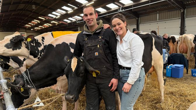 Jeroen van Beek samen met zijn zus en de winnende koe in de jonge klasse.