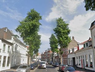 Bomenwissel in Bergen op Zoom: zeven straten krijgen nieuwe bomen