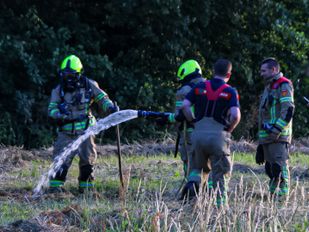 Brandweer blust bermbrand langs Eendrachtsweg in Tholen