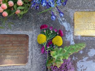 Struikelstenen Roosendaal