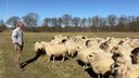 Van Driel Landschapsbeheer