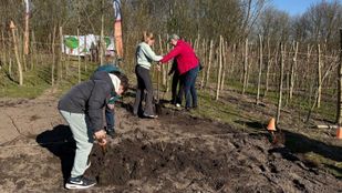 Nationale Boomfeestdag Etten-Leur Groep 8