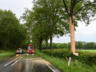 bliksem inslag boom Rijsbergen