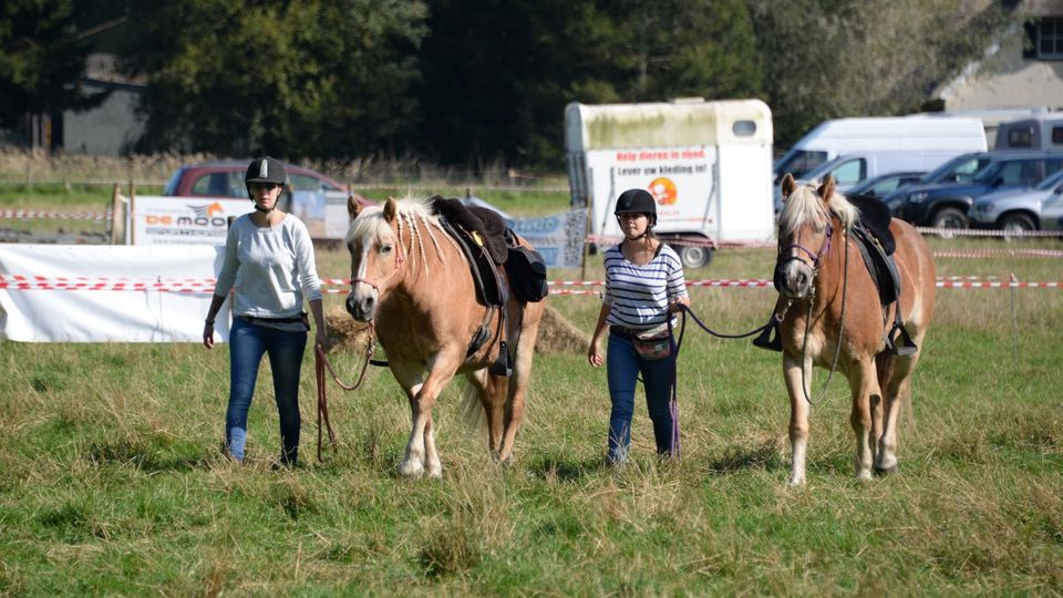 Foto: Jan Krijtenburg/Woensdrecht.nieuws.nl