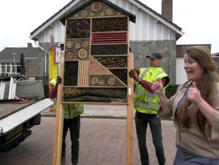 Insectenhotel Wernhout