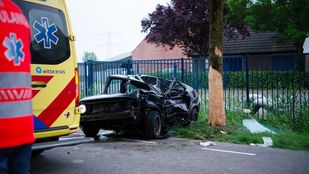 Auto botst frontaal op boom Tholenseweg Halsteren