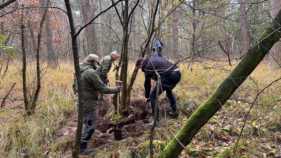 Natuurwerkdag Schijf