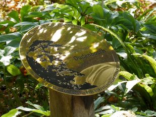 Botanische tuin in Oudenbosch ontvangt bijzondere ereprijs: &#8216;Voelt als een Michelinster&#8217;