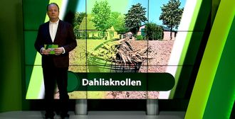 ZuidWest Update - 30 april – Moerdijk | Etten-Leur | Zundert | Halderberge | Rucphen