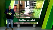 20 mei – Roosendaal | Bergen op Zoom | Woensdrecht | Tholen | Steenbergen