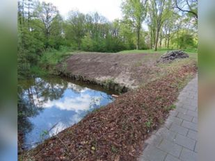 Broedplaats beschermde ijsvogels vernield tijdens werkzaamheden: &#8216;Noodzaak was groot&#8217;