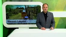 ZuidWest Update – 26 juni 2025