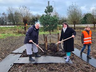 Sanneke Vermeulen en Klaar Koenraad planten bomen in Heerle. Foto: gemeente Roosendaal