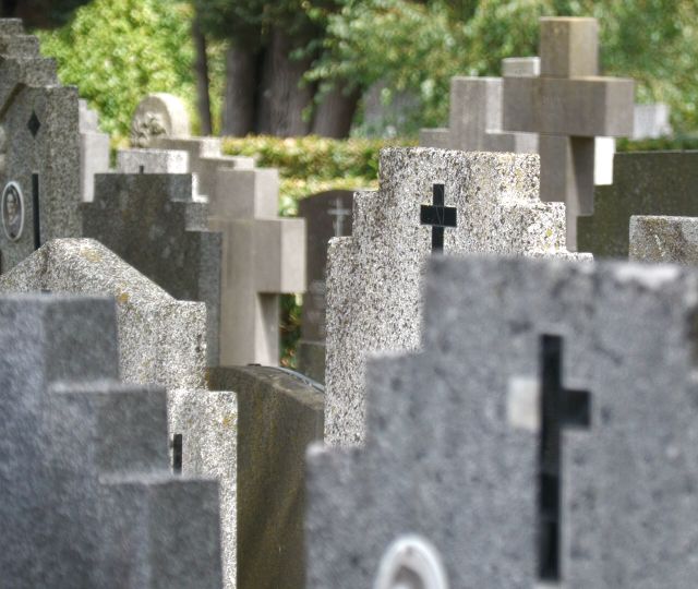 Vrijwilligers houden stenen archief van Roosendaal in ere