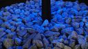 Holocaustmonument Levenslicht week lang te zien in Bergen op Zoom
