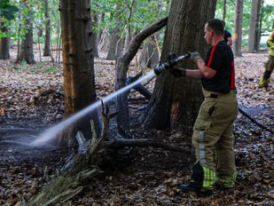 Bosbrandje snel onder controle aan &#8217;t Wasven in Halsteren