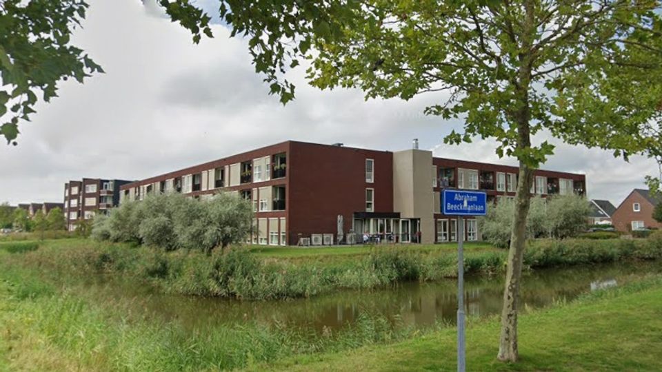 Bewoners willen meer groenonderhoud aan bomen en struiken, gemeente ziet geen problemen