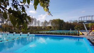 Zwembad de melanen halsteren