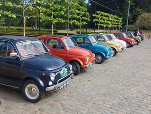 Rijtje Fiat 500 in allerlei kleuren