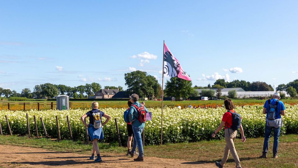 Dahliawandeltocht geeft wandelaars kijkje in de keuken van Corso Zundert