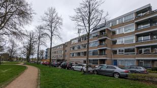 Oekraïners onrust Avondvrede