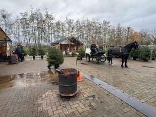 Buurtschap De Berk verkoopt kerstbomen voor het buurtschap.