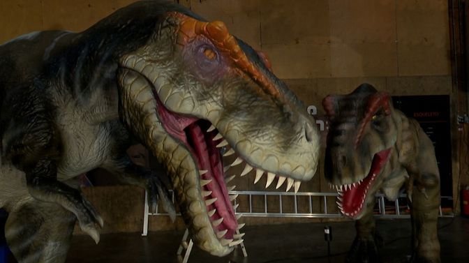 dinosaurus nieuws zeeland tholen