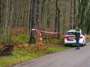 gewonde hond bos Halsteren