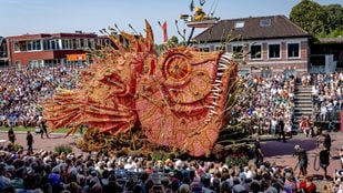 Winaar Corso Zundert 2024 De Beet