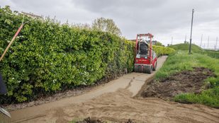 nieuws moerdijk willemstad klundert fijnaart zevenbergen brabant wandelen