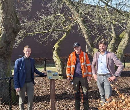 tamme kastanjes informatiebord Woensdrecht