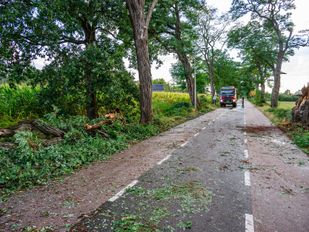 Flink aantal bomen omgewaaid door slecht weer in Achtmaal