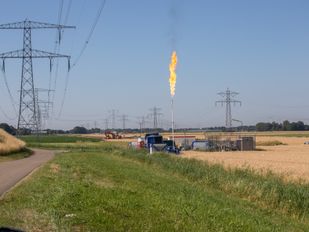 fakkel fakkelactiviteit oud gastel dow nieuws