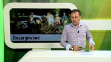 ZuidWest Update – 19 mei 2025