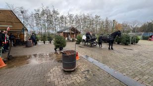 Buurtschap De Berk verkoopt kerstbomen voor het buurtschap.