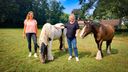 Vijf jaar Zorgboerderij de Ouwe Tol: &#8216;We willen jong en oud in hun eigen kracht zetten&#8217;