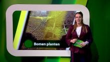 19 november – Moerdijk | Etten-Leur | Zundert | Halderberge | Rucphen