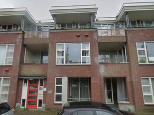 nieuws steenbergen brabant