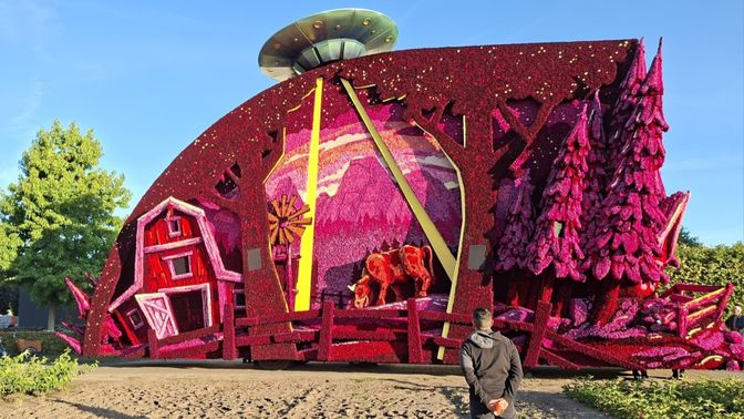 ufo corso zundert bloemen dahlia laer akkermolen nieuws brabant