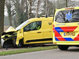 Auto botst tegen boom op de Ettenseweg in Rijsbergen